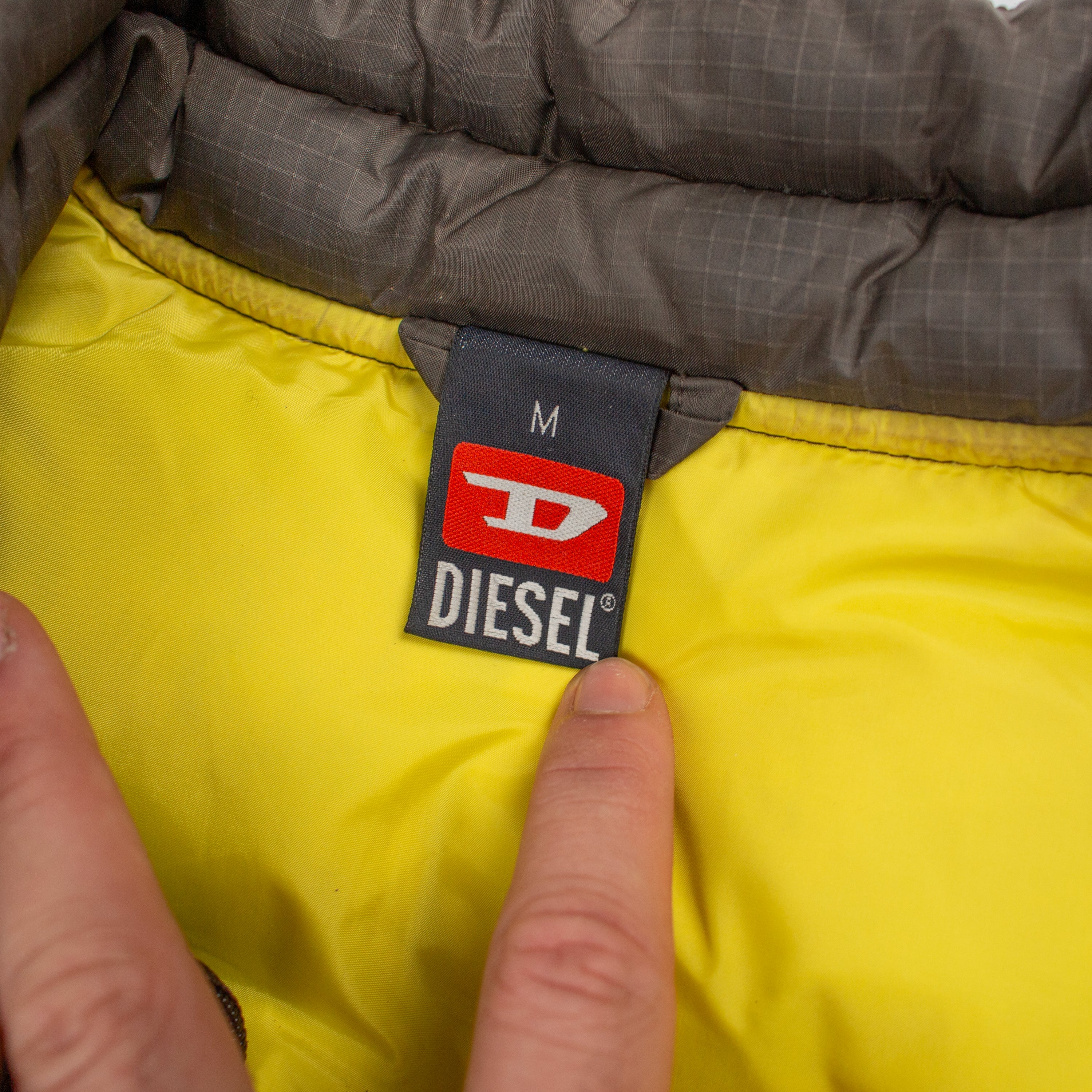 "Intrinsic Vitality" Down Gilet